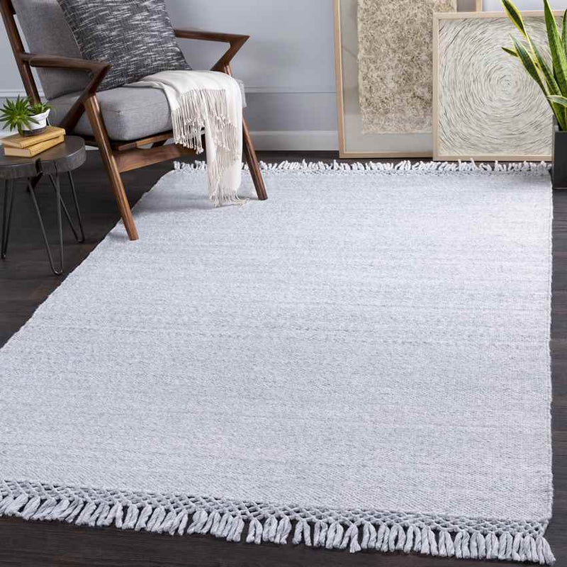 Sloten Modern Light Gray Area Rug