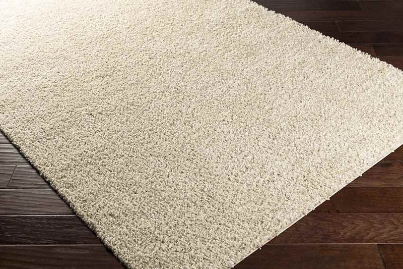 Tuindorp Modern Beige Area Rug