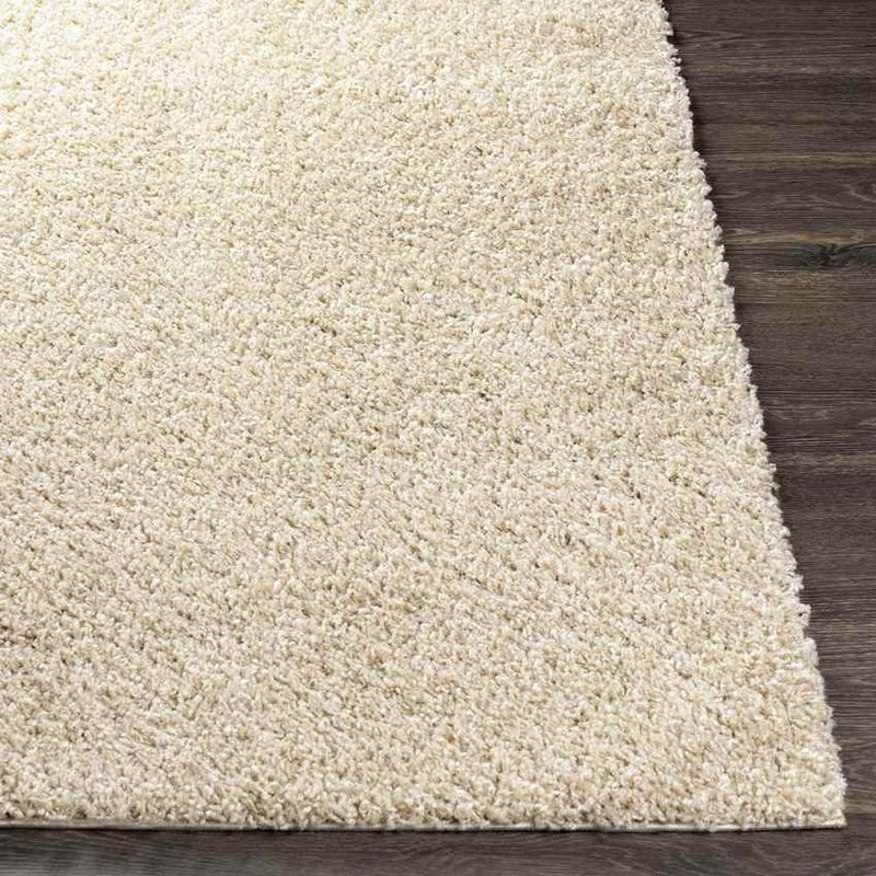 Tuindorp Modern Beige Area Rug