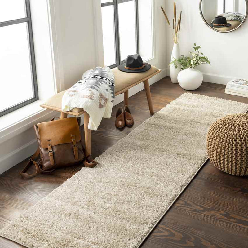 Tuindorp Modern Beige Area Rug