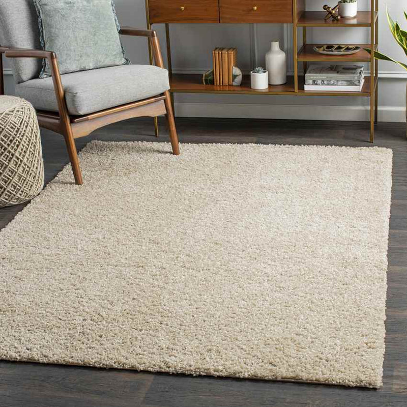 Tuindorp Modern Beige Area Rug