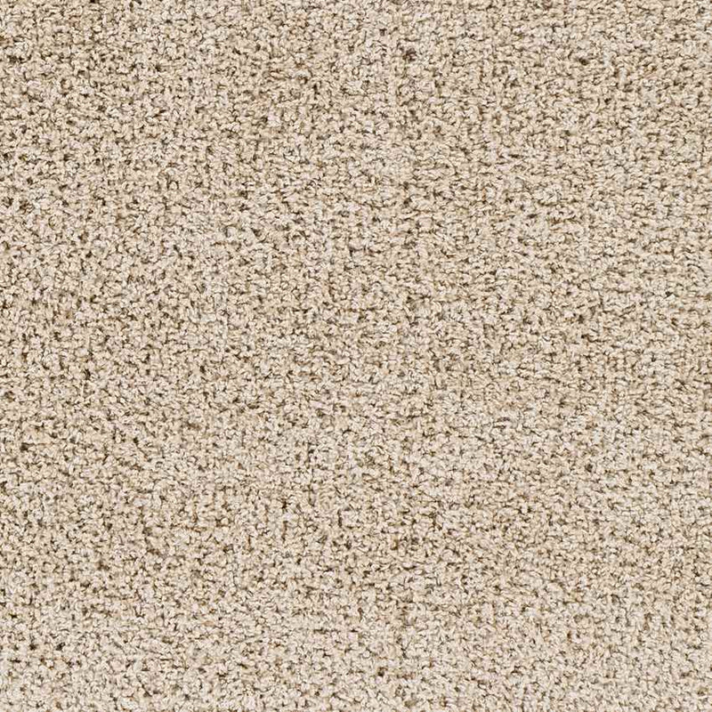 Tuindorp Modern Beige Area Rug