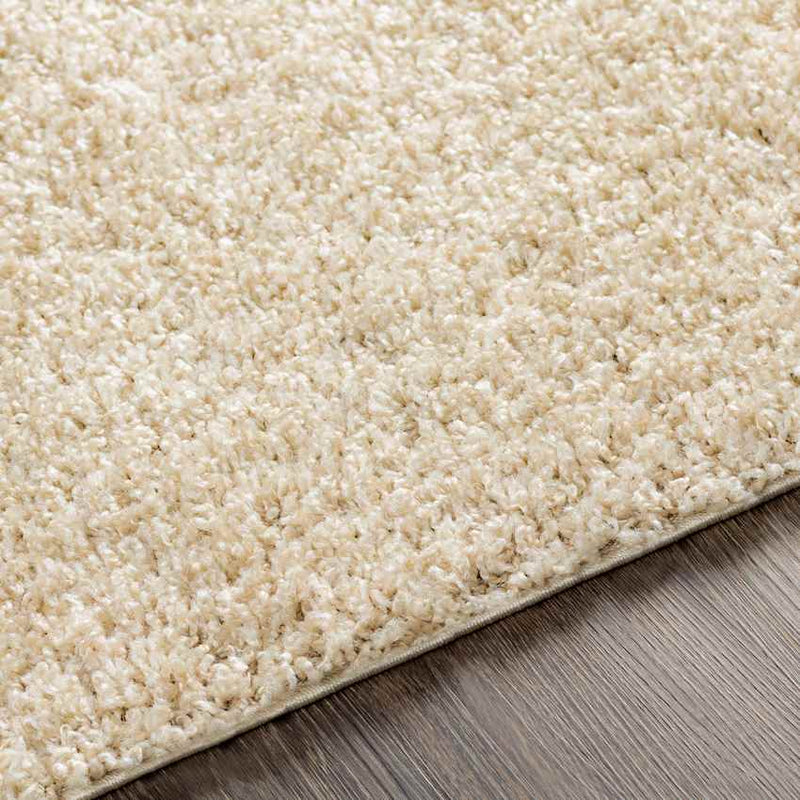 Tuindorp Modern Beige Area Rug