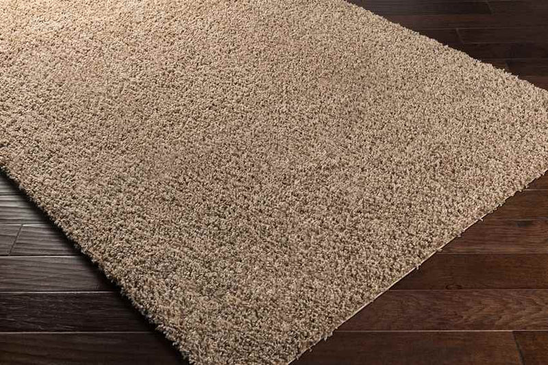 Tuindorp Modern Light Brown Area Rug