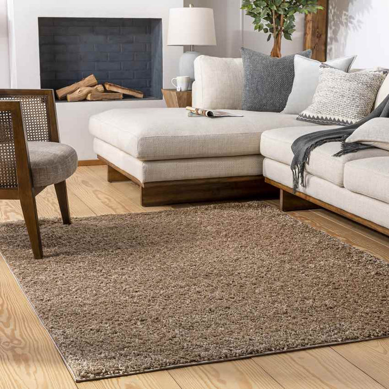 Tuindorp Modern Light Brown Area Rug