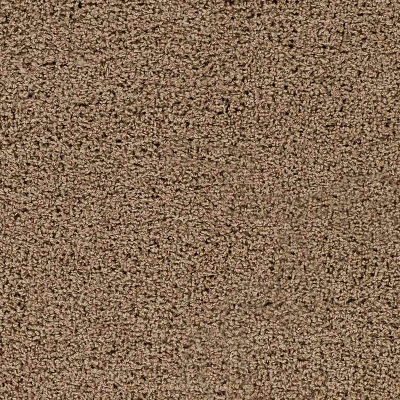 Tuindorp Modern Light Brown Area Rug