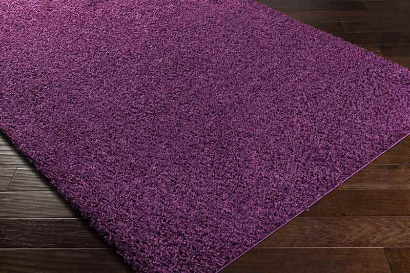 Tuindorp Modern Eggplant Area Rug