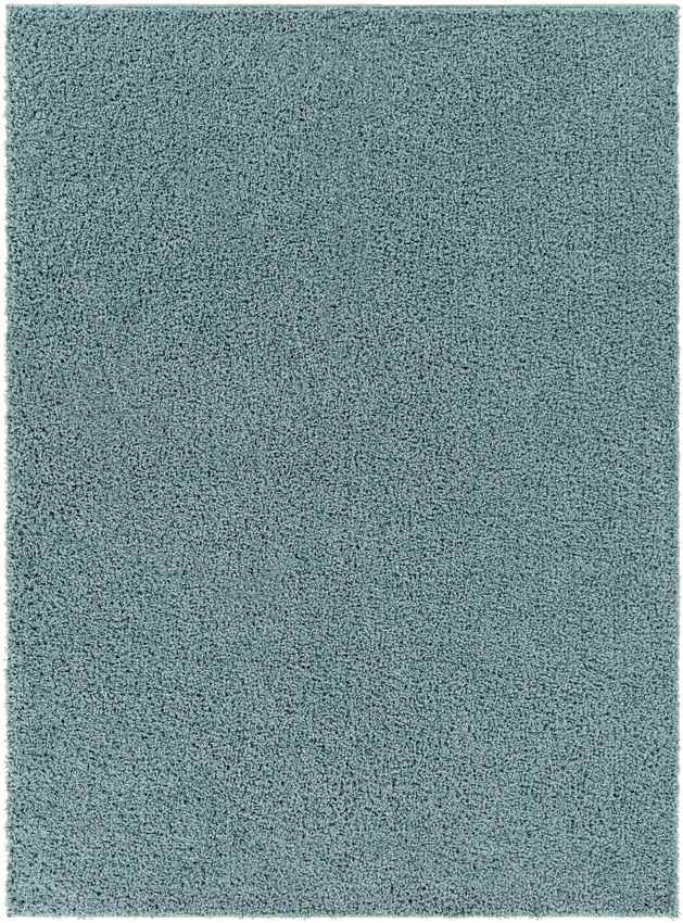 Tuindorp Modern Teal Area Rug