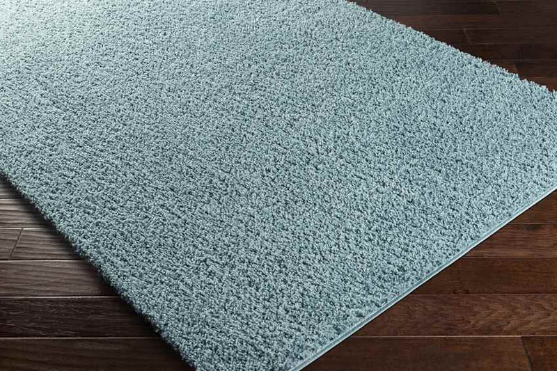 Tuindorp Modern Teal Area Rug