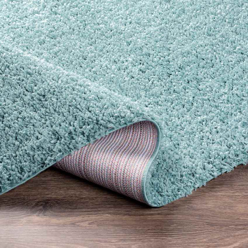 Tuindorp Modern Teal Area Rug