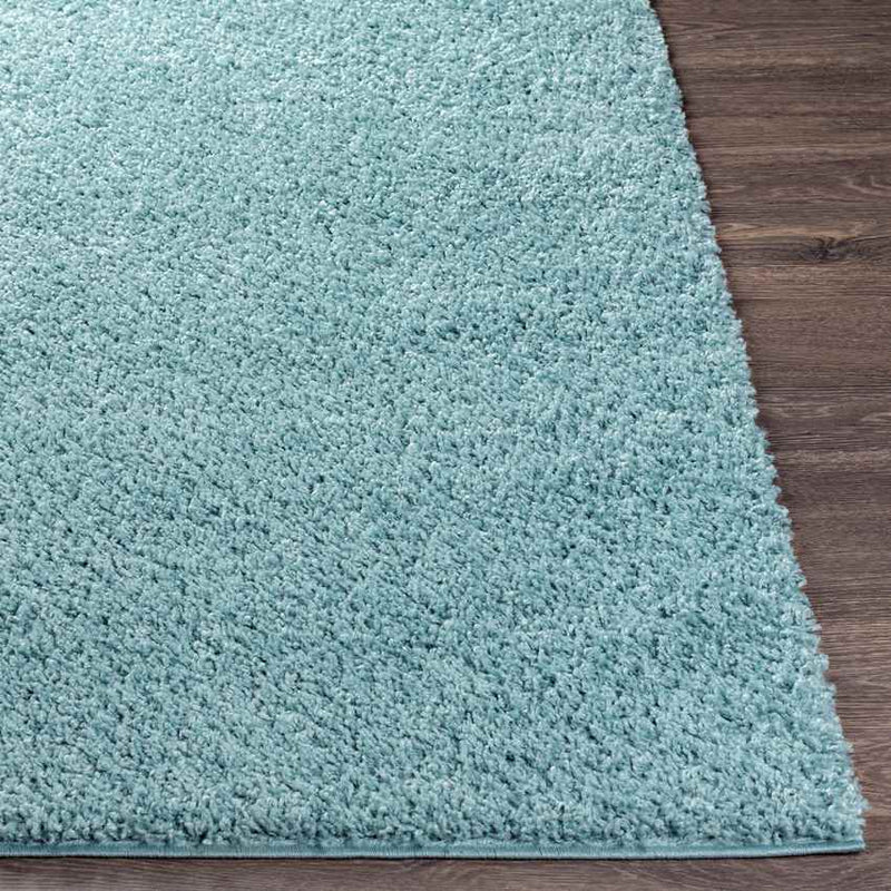 Tuindorp Modern Teal Area Rug