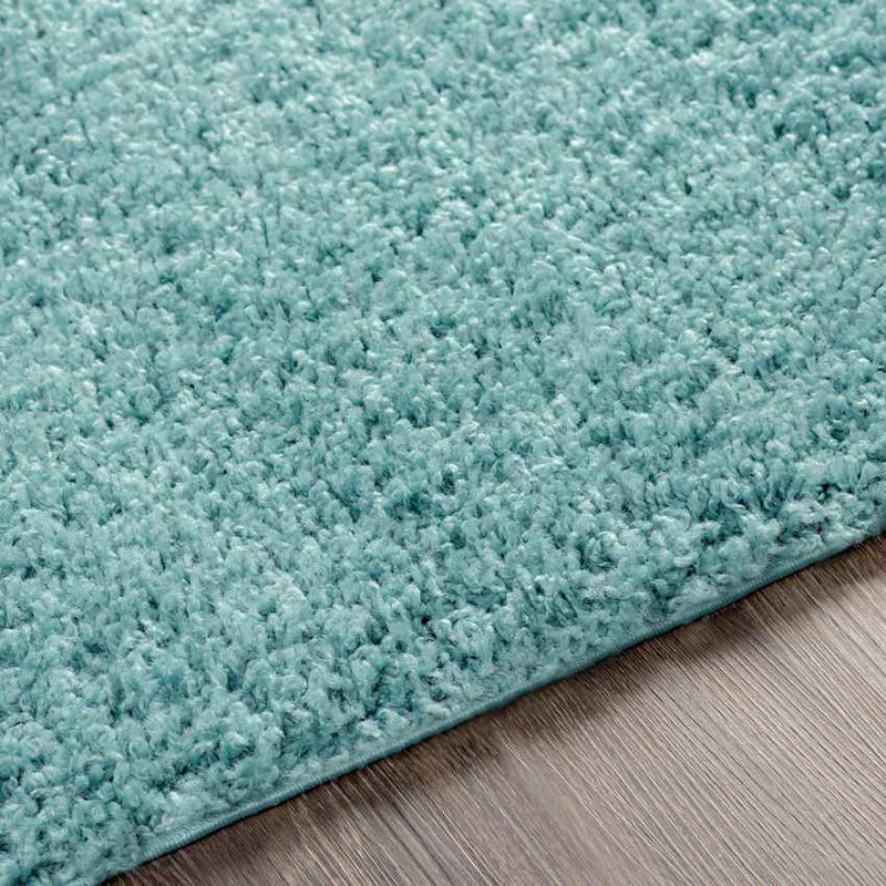 Tuindorp Modern Teal Area Rug