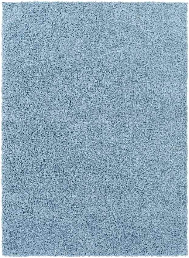 Tuindorp Modern Sky Blue Area Rug