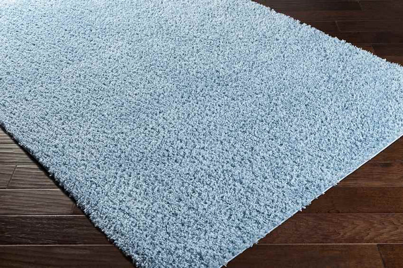 Tuindorp Modern Sky Blue Area Rug