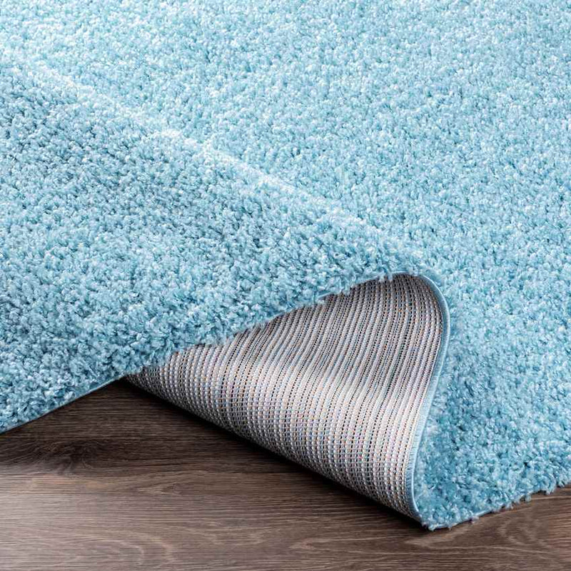 Tuindorp Modern Sky Blue Area Rug