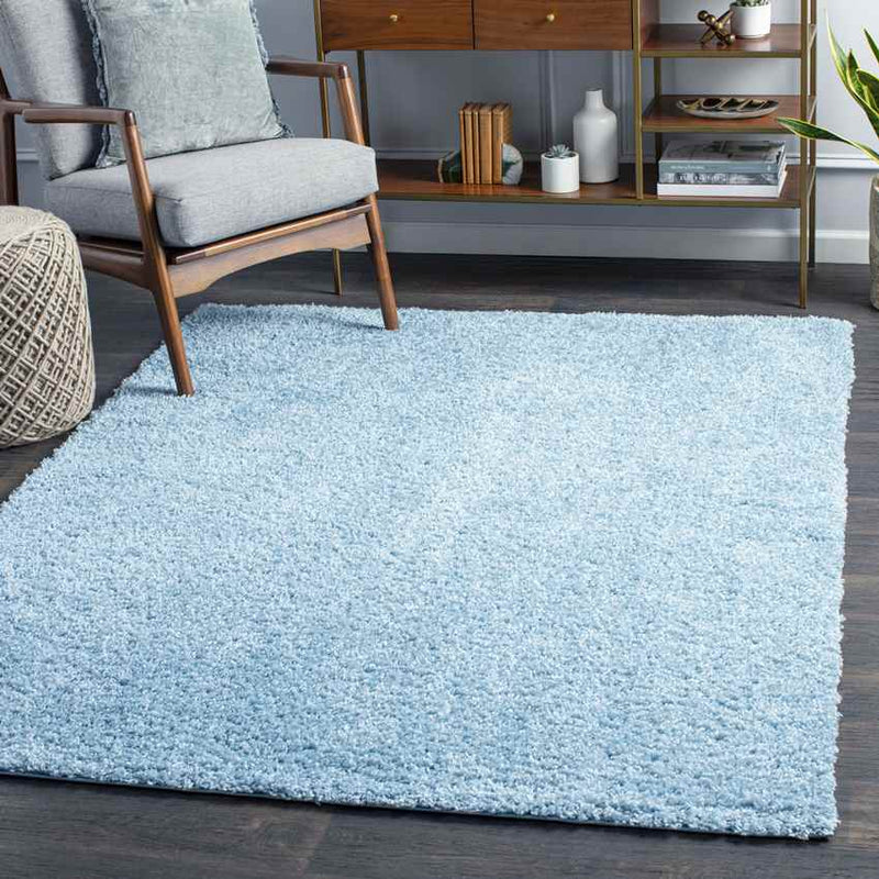 Tuindorp Modern Sky Blue Area Rug