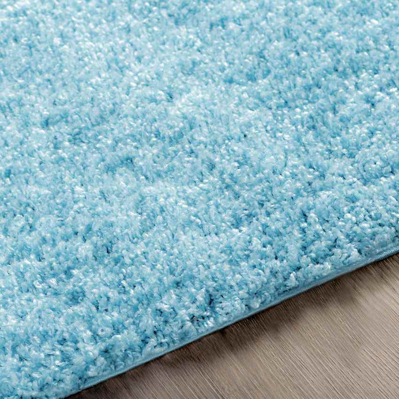 Tuindorp Modern Sky Blue Area Rug