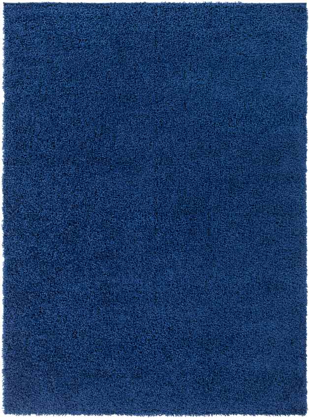 Tuindorp Modern Navy Area Rug