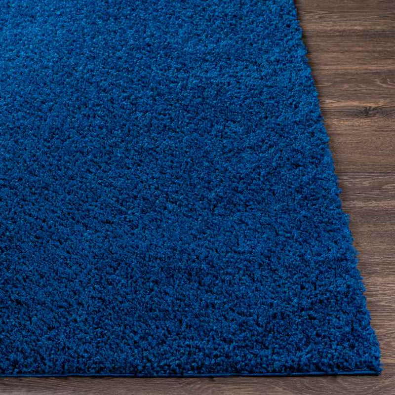 Tuindorp Modern Navy Area Rug