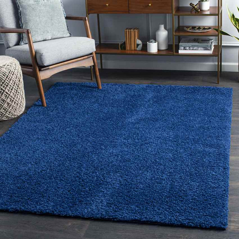 Tuindorp Modern Navy Area Rug