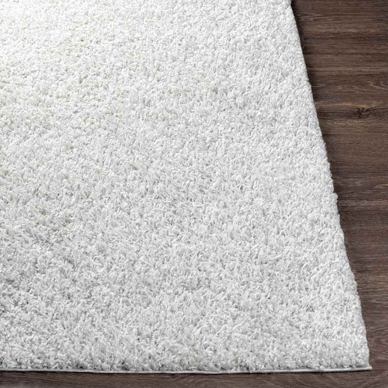 Tuindorp Modern Eggshell Area Rug