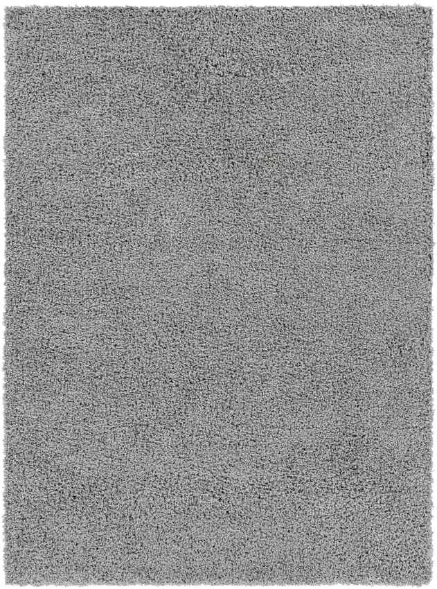 Tuindorp Modern Charcoal Area Rug