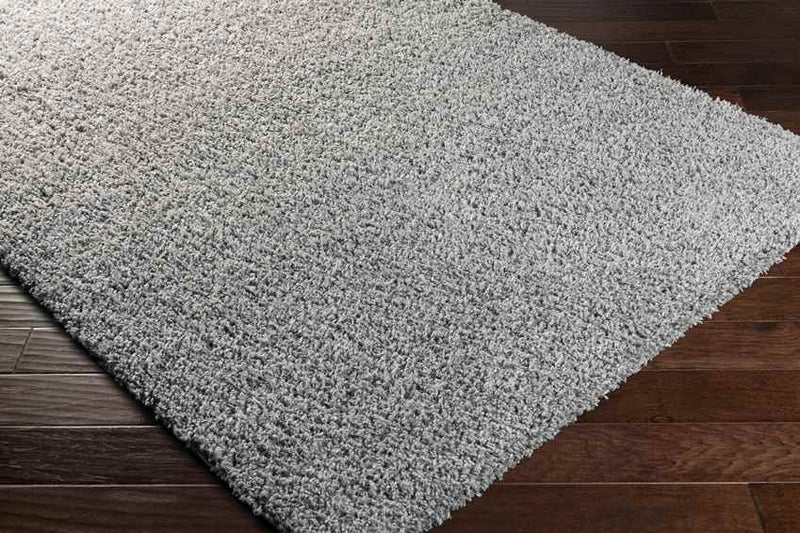 Tuindorp Modern Charcoal Area Rug