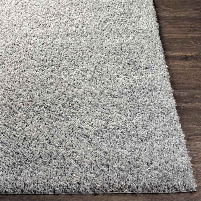 Tuindorp Modern Charcoal Area Rug