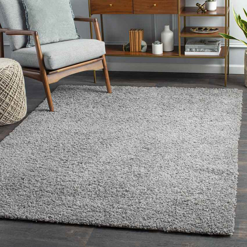 Tuindorp Modern Charcoal Area Rug