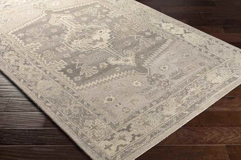 Zwaag Traditional Light Gray Area Rug