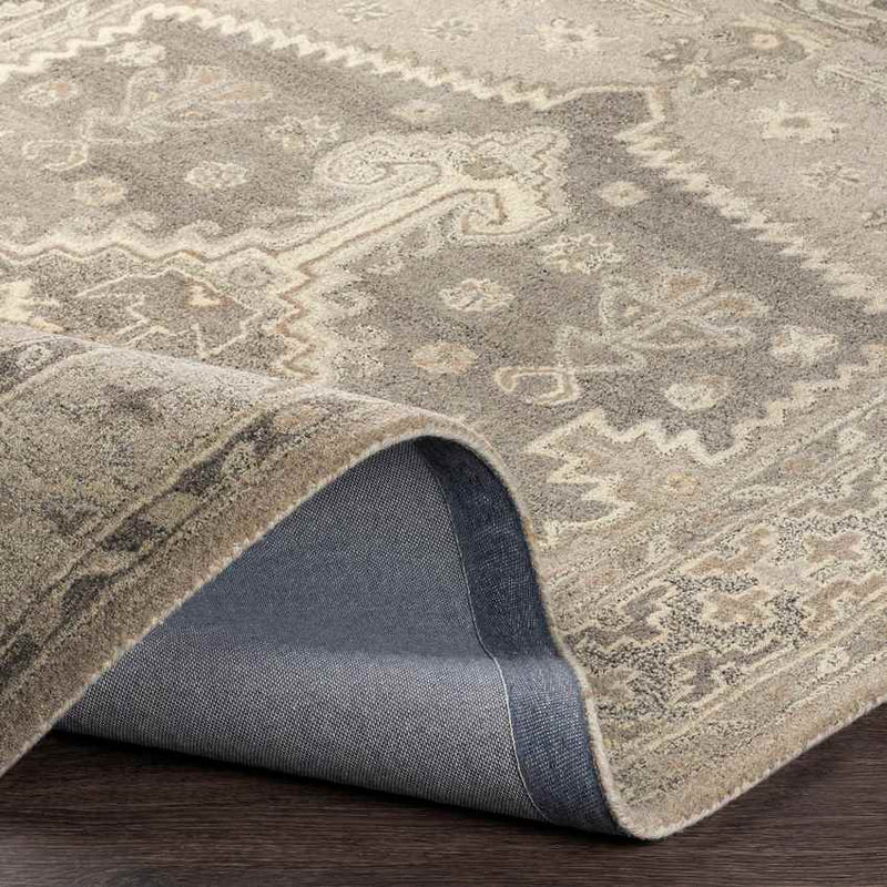 Zwaag Traditional Light Gray Area Rug