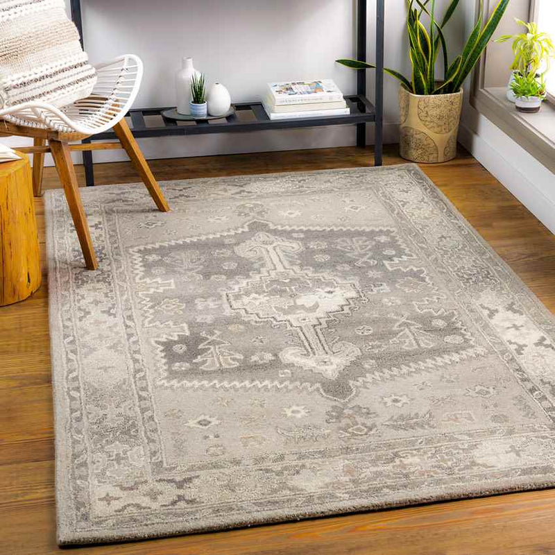 Zwaag Traditional Light Gray Area Rug