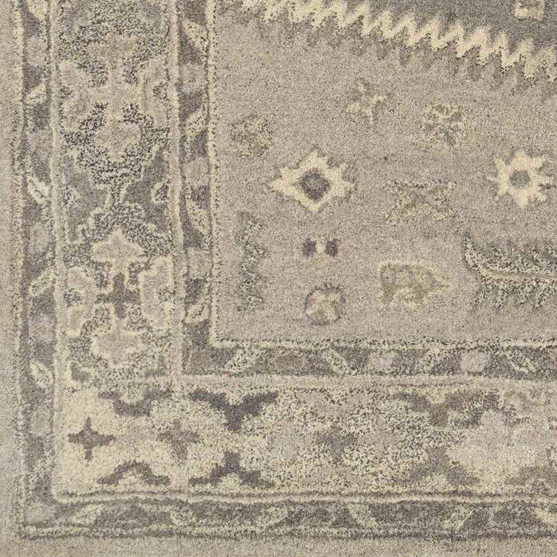 Zwaag Traditional Light Gray Area Rug