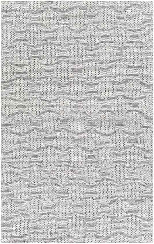 Baarschot Modern Charcoal Area Rug