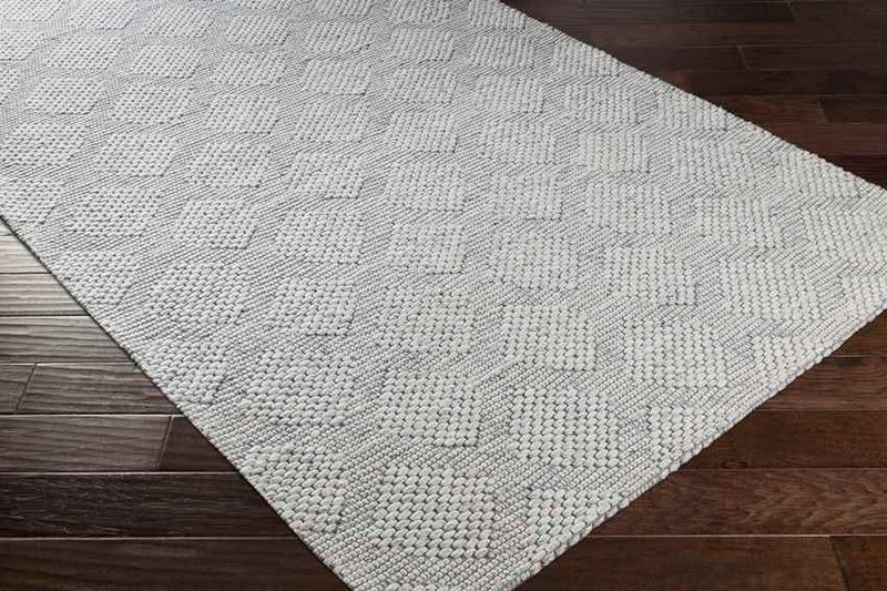 Baarschot Modern Charcoal Area Rug