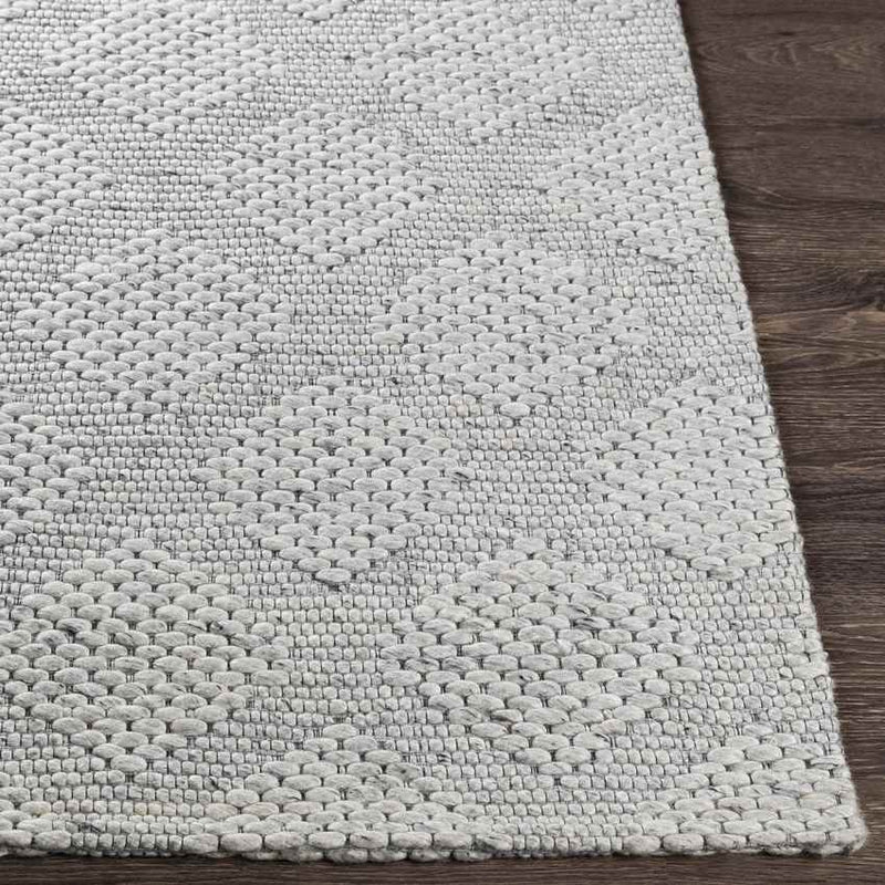 Baarschot Modern Charcoal Area Rug