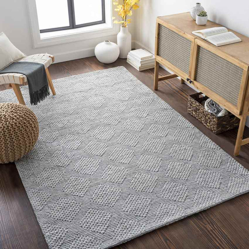 Baarschot Modern Charcoal Area Rug