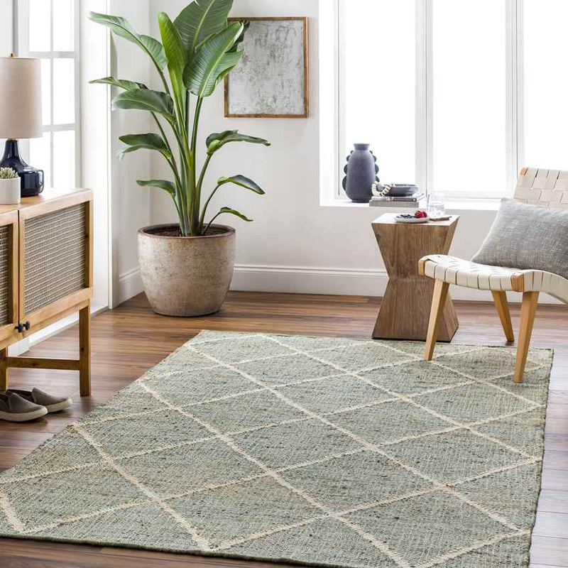 Bedaf Global Sage Area Rug