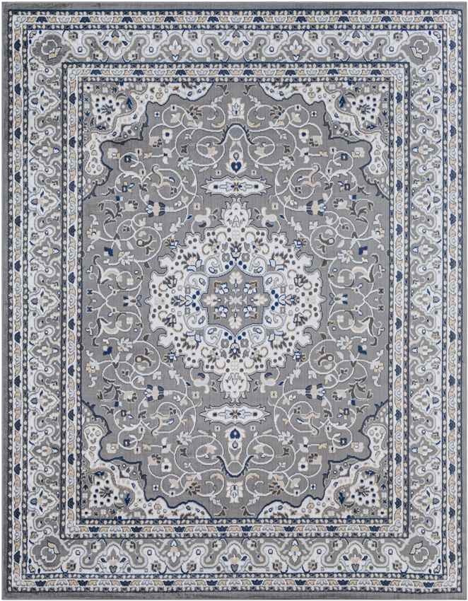 Belvert Traditional Medium Gray Area Rug