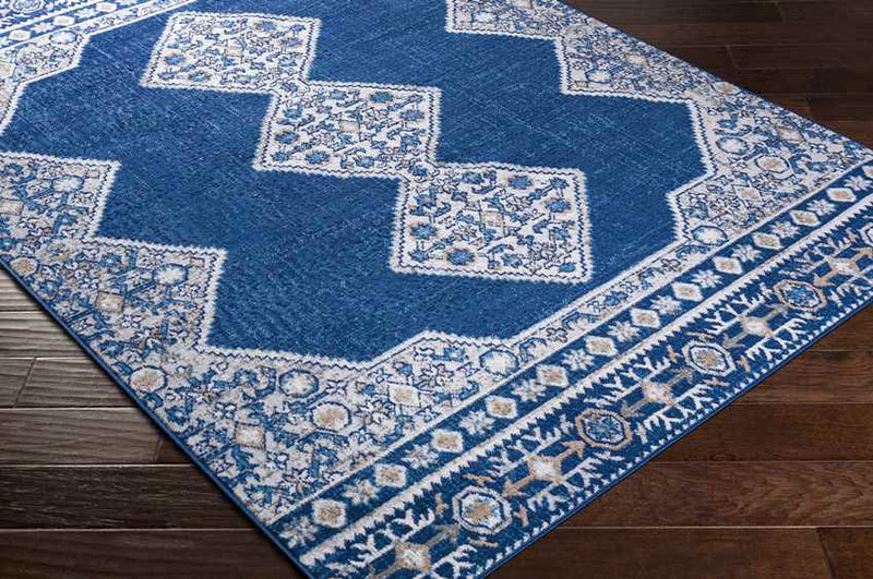 Berg Traditional Blue Area Rug