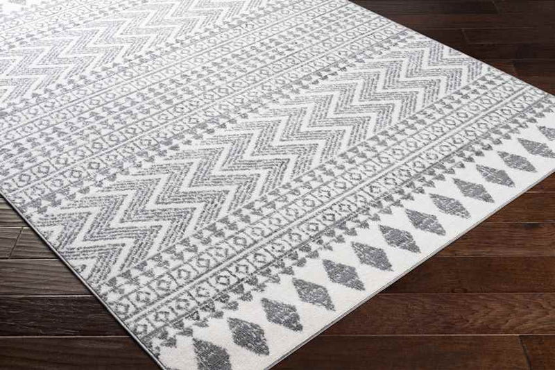 Beugt Global Medium Gray Area Rug