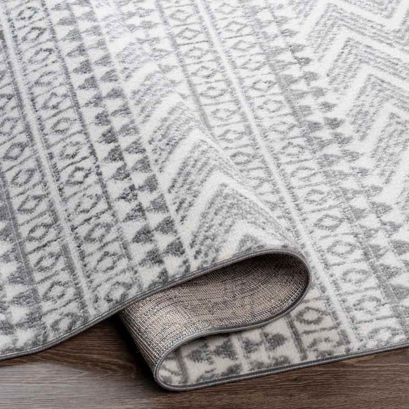 Beugt Global Medium Gray Area Rug