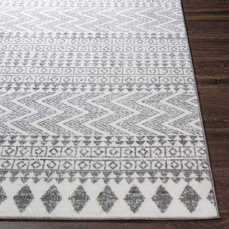 Beugt Global Medium Gray Area Rug