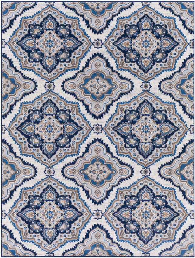 Boeiink Traditional Blue Area Rug