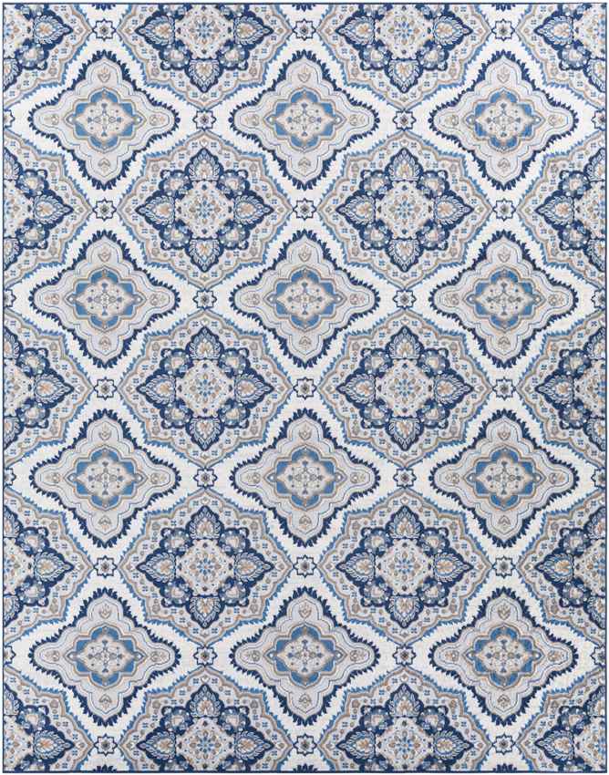 Boeiink Traditional Blue Area Rug