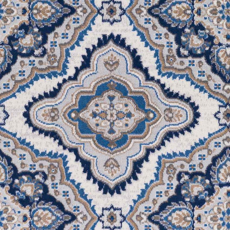 Boeiink Traditional Blue Area Rug