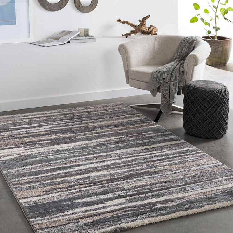 Boomen Modern Charcoal Area Rug