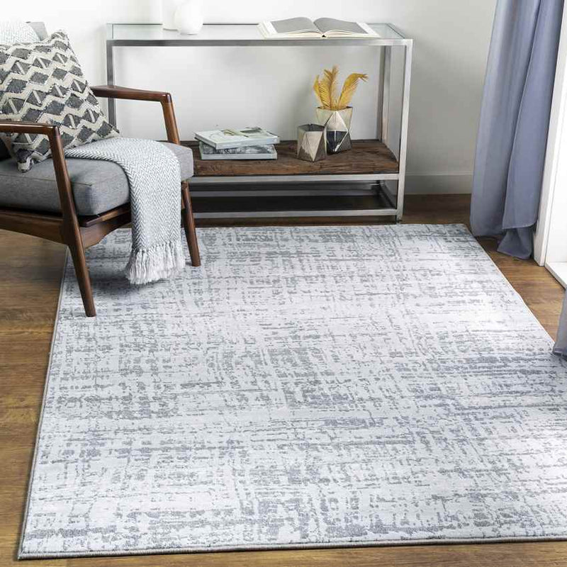 Demen Modern Light Gray Area Rug