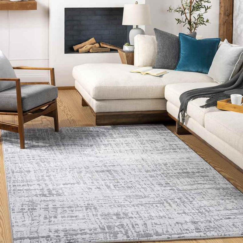 Demen Modern Light Gray Area Rug