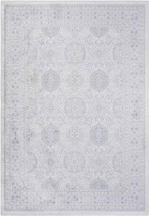 Dussen Traditional Light Gray Area Rug